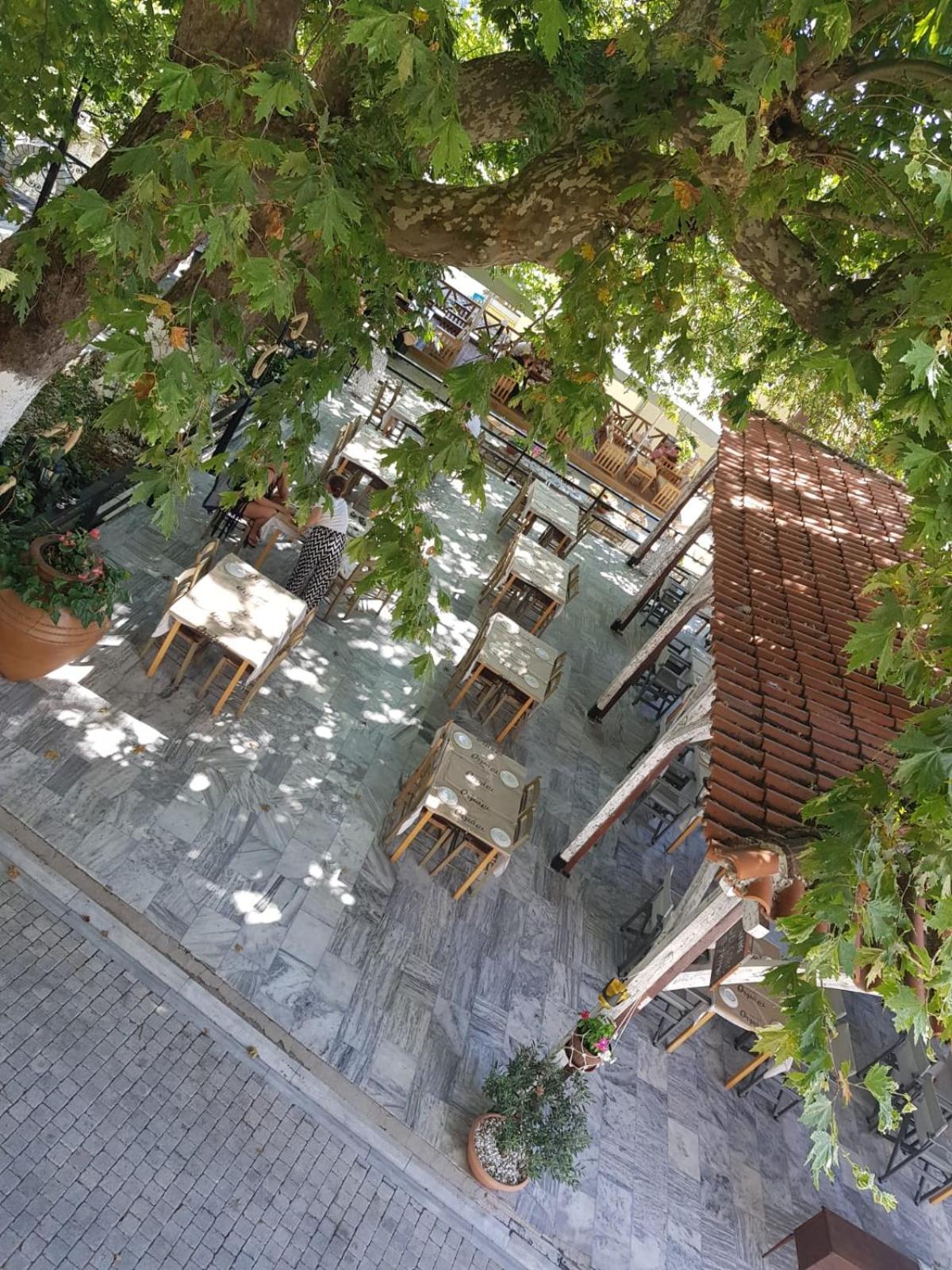 פאניה Amaya Pine Studio מראה חיצוני תמונה
