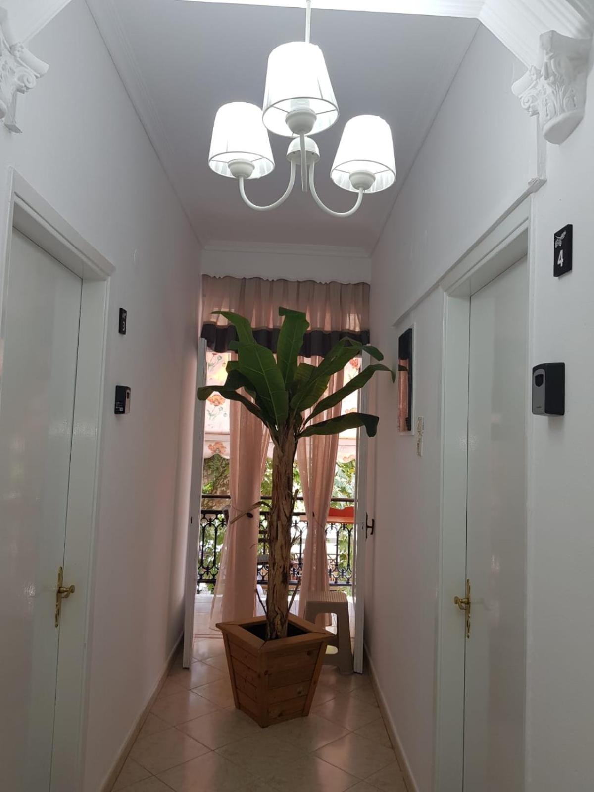 פאניה Amaya Pine Studio מראה חיצוני תמונה