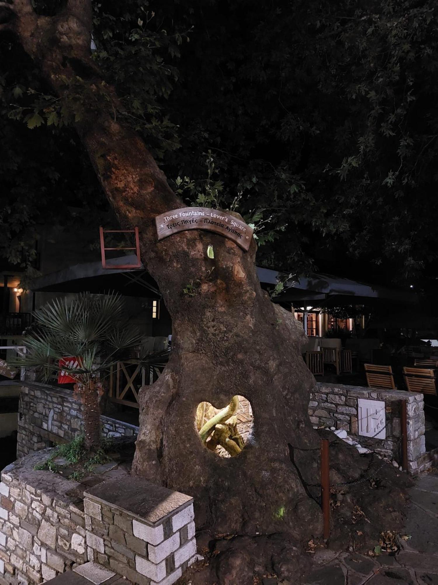 פאניה Amaya Pine Studio מראה חיצוני תמונה